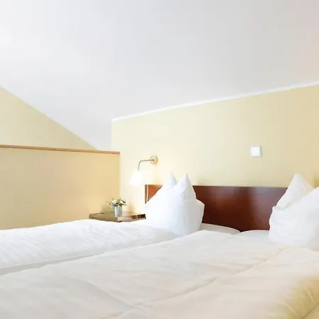 Schneeeule 223 Granzow