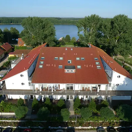 Schneeeule 223 Granzow