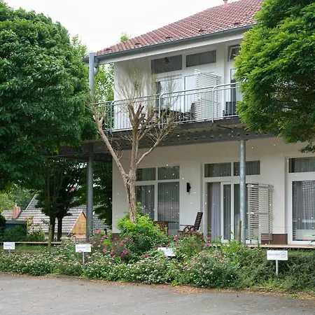 Schneeeule 223 * Granzow