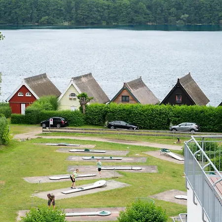 Schneeeule 223 Granzow